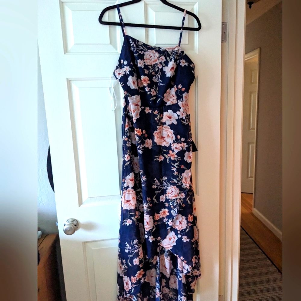 Lulu's blue floral sheer dress